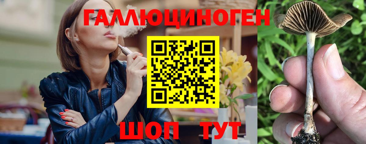 Псилоцибиновые грибы Cubensis Городец