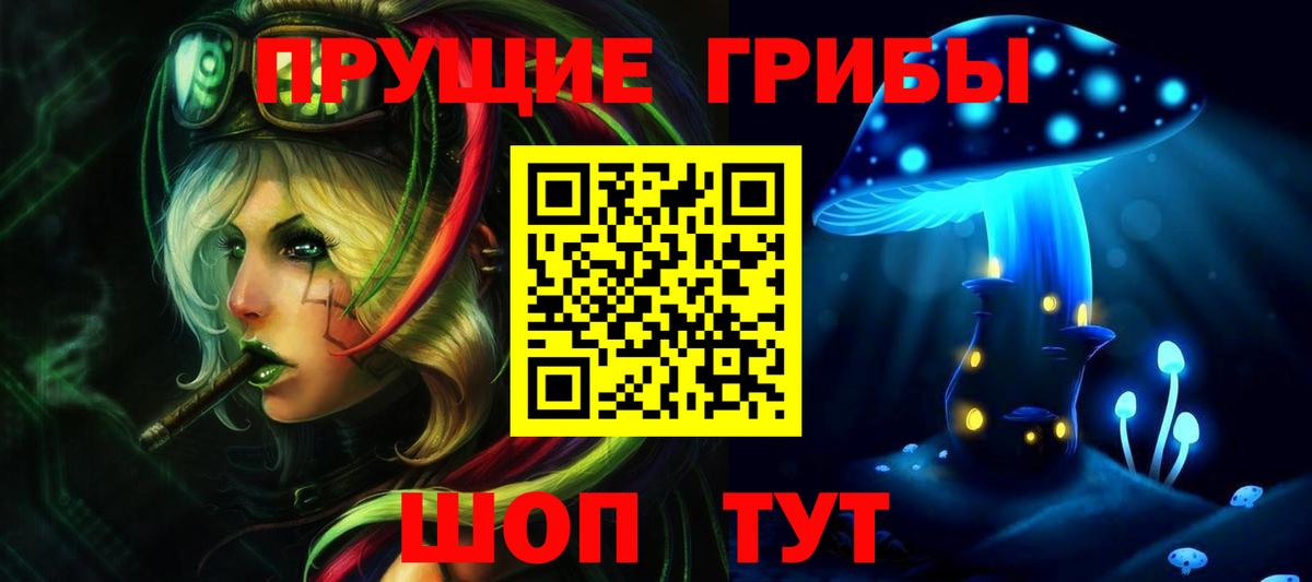 Псилоцибиновые грибы Cubensis  Вход с VPN  Городец 