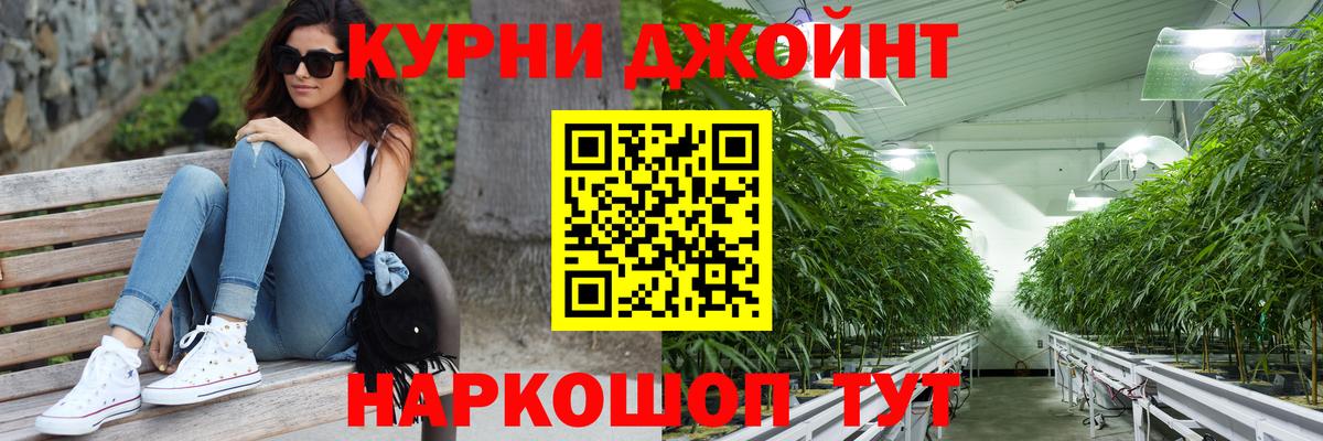 Бошки Шишки планчик Городец